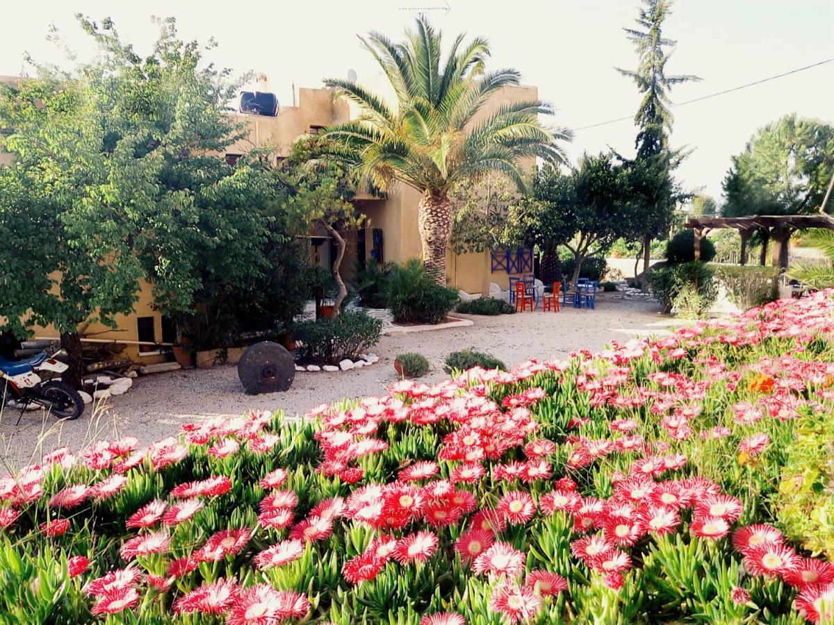 Vagia Beach Apartments, Aegina Island Pokoj fotografie